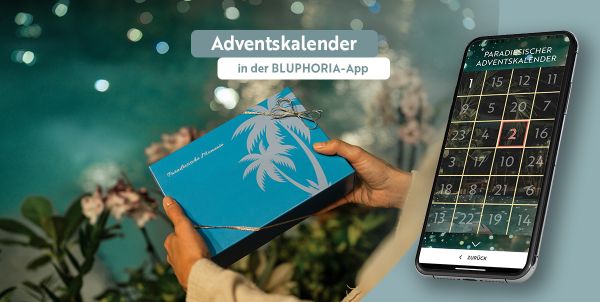 Adventskalender in der Bluhoria App